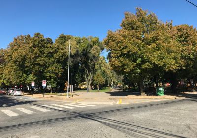 Plaza Pinto