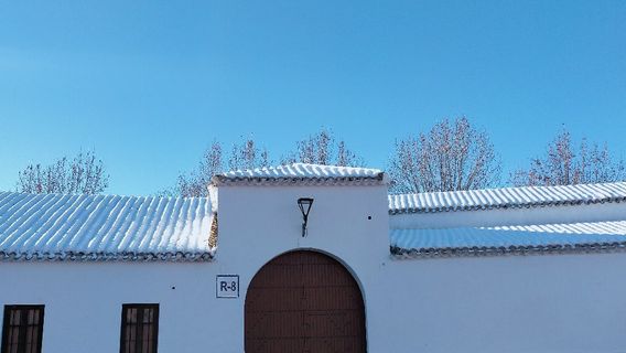 Feria de Albacete