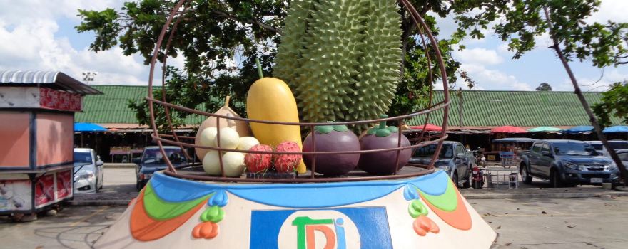 Taphong Fruit Market