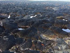 Pantai Batu Hitam