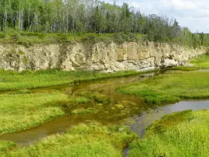 Wood Buffalo National Park
