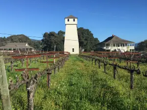 Handley Cellars