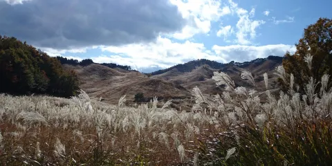 とのみね自然交流館