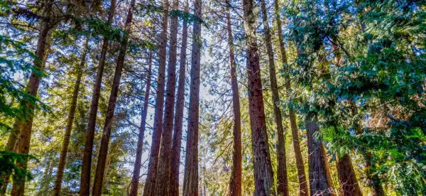Hotels in Contra Costa County