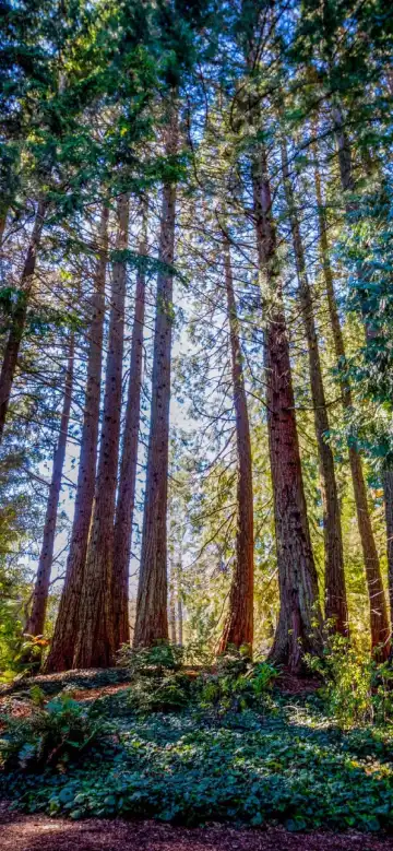Hotels near Grizzly Peak