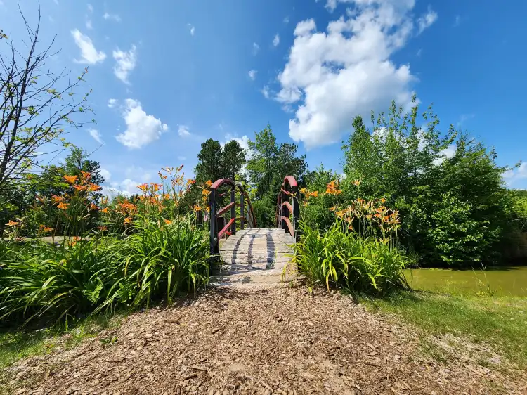 Hotels in Chocolay Charter Township