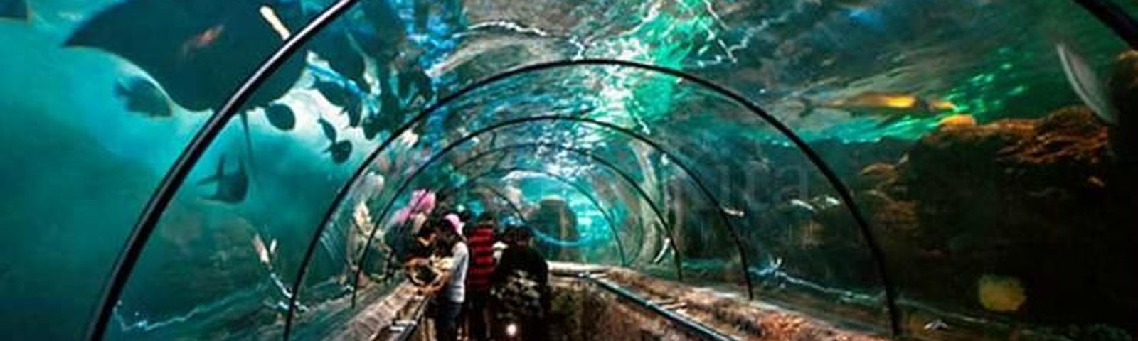 North JakartaExperiences