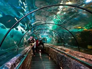 Sea World Ancol