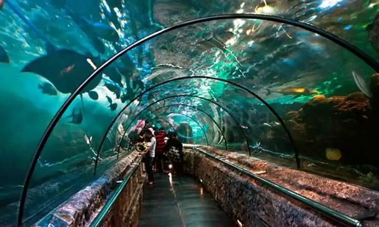 Hotels near Sea World Ancol