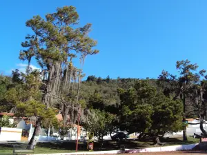 Parque Beethoven