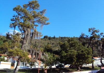 Parque Beethoven