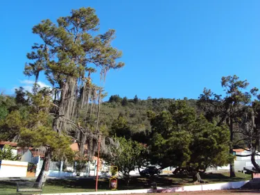 Parque Beethoven