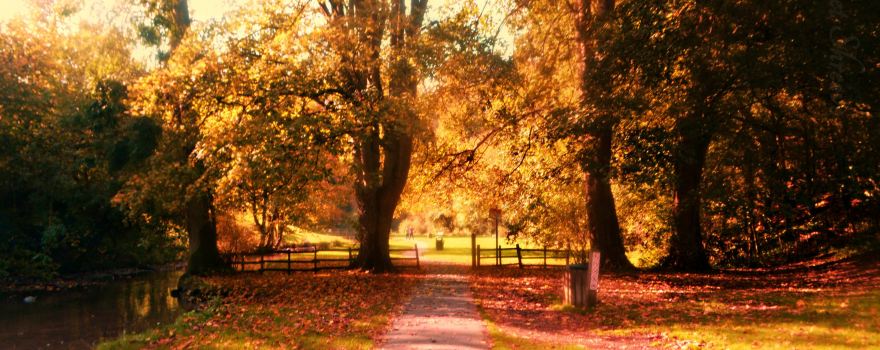 Hubbard's Hills