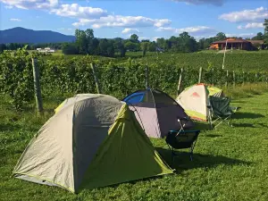 Round Peak Vineyards