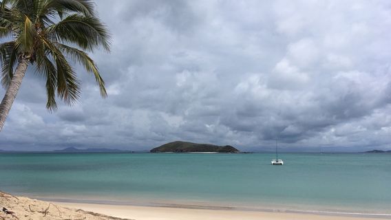 Sail Capricornia
