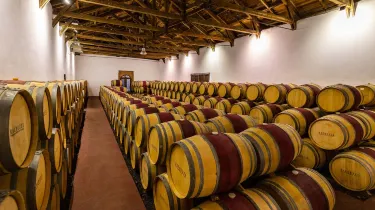 San Javier