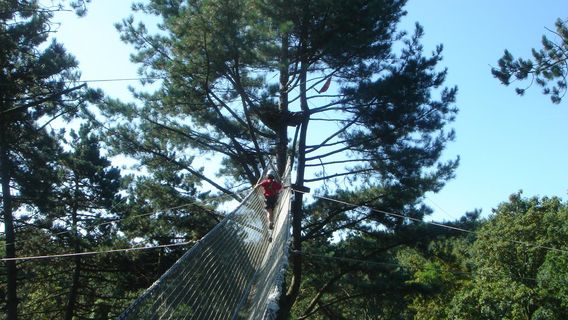 PERCHING ADVENTURE