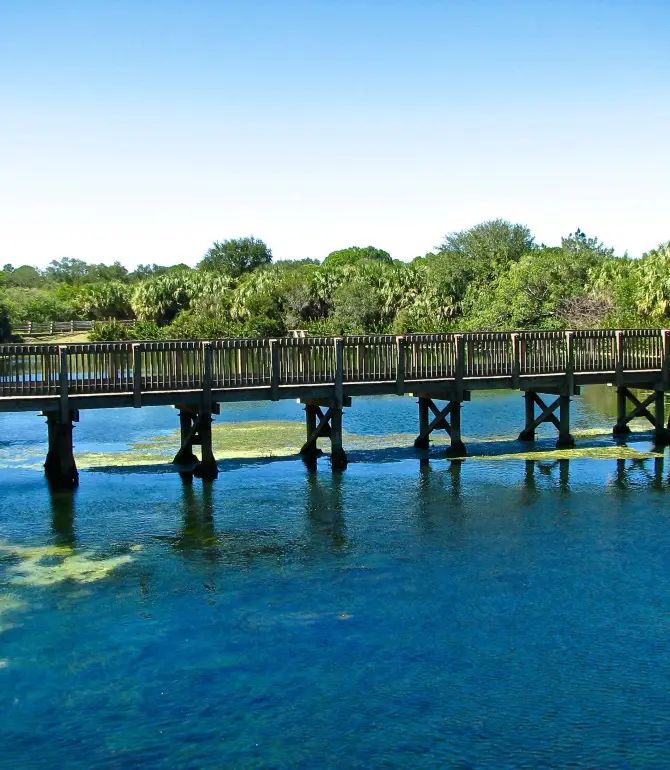 Palm Harbor