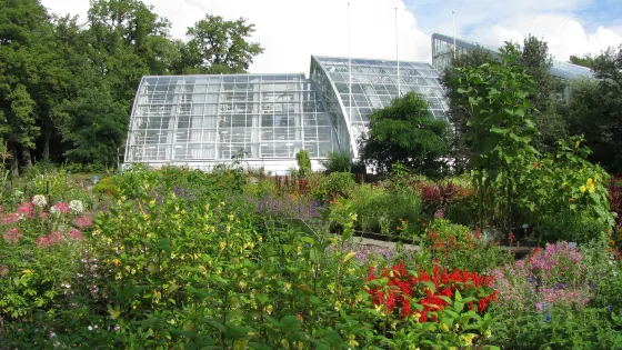 Botanic Garden of University of Turku