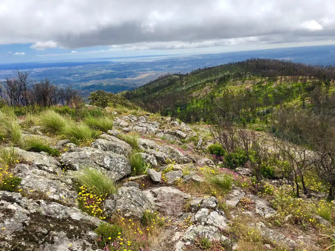 Hotels near Serra da Picota