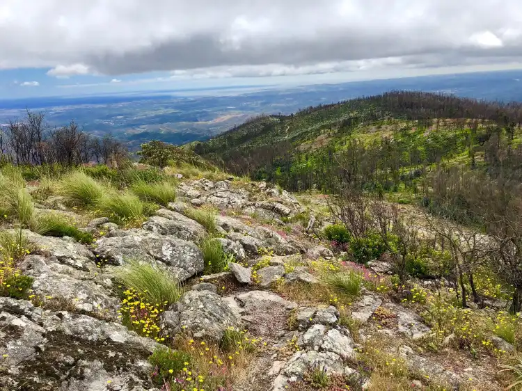 Hotels near Serra da Picota
