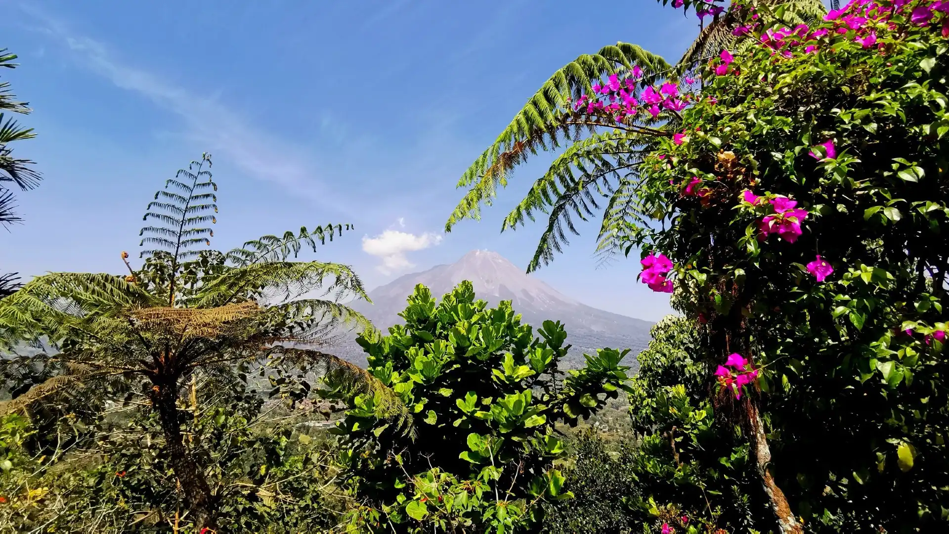 Hotels near Mount Merapi Museum