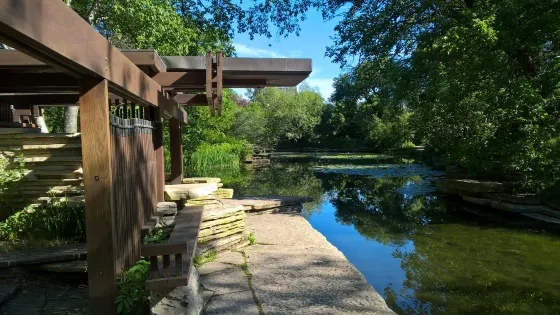 Alfred Caldwell Lily Pool