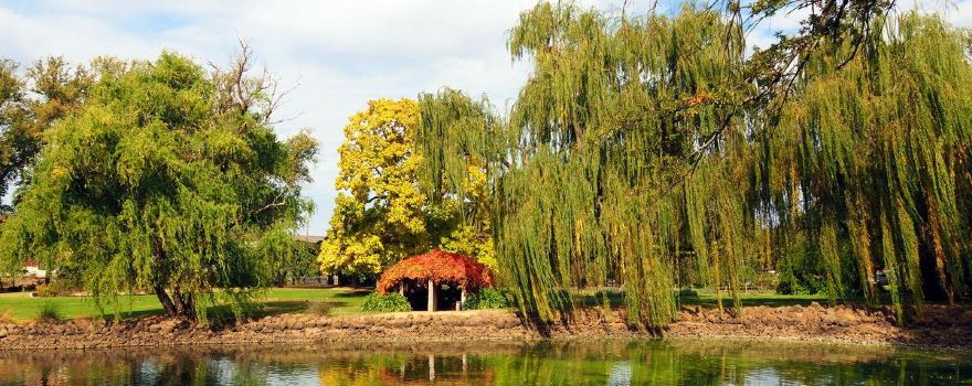 Castlemaine Botanical Gardens