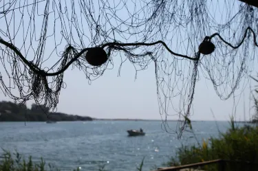Bojana River