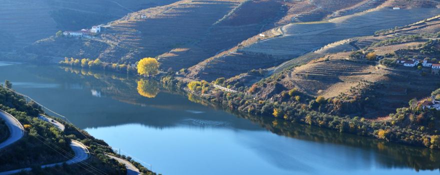 Quinta do Seixo - Sandeman