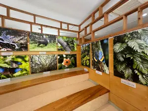 Yanbaru Kuina Ecological Exhibition and Learning Facility Kuina no Mori