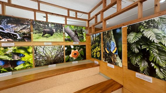 Yanbaru Kuina Ecological Exhibition & Learning Facility Kuina no Mori