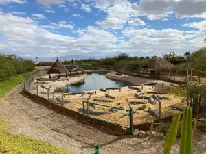 Crocoloco Crocodile Farm