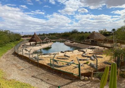 Crocoloco Crocodile Farm