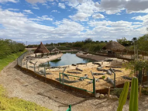 Crocoloco Crocodile Farm