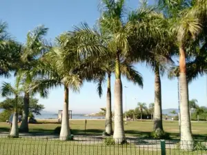 Parque De Coqueiros