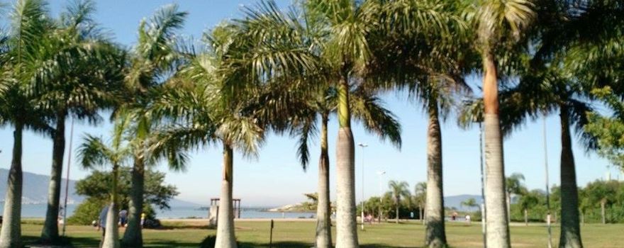 Parque De Coqueiros