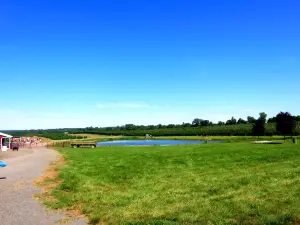 Homestead Farm