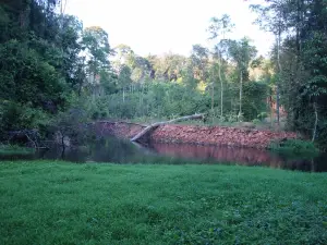 Phu Langka National Park