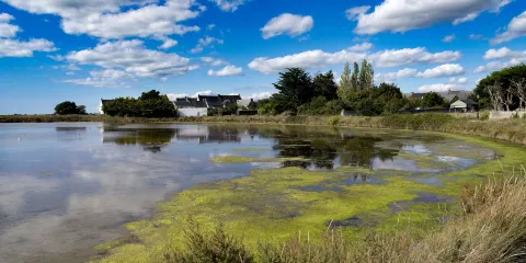 La Maison des Paludiers