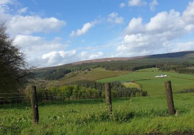 Slieve Bloom Mountains