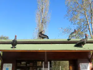 Oasi naturalistica Dei Quadris