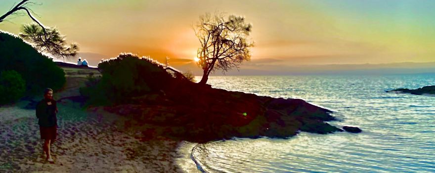 Tasmanian Wilderness Experiences
