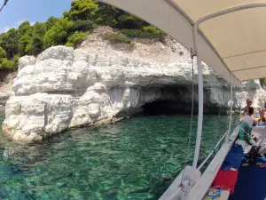 Alonissos - seacolours dive center