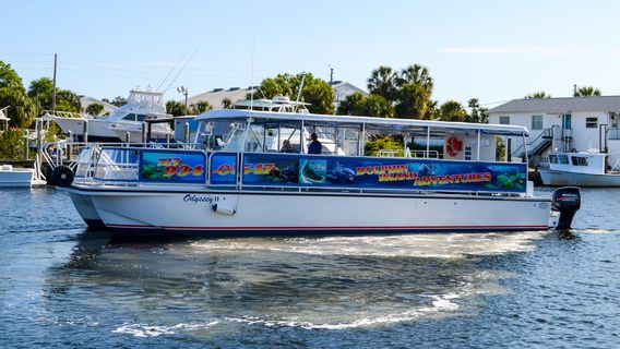 Odyssey Cruises