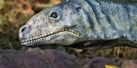 Saurier-Erlebnispfad