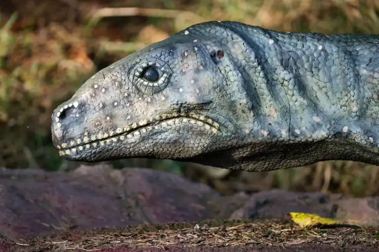 Hotels in Georgenthal