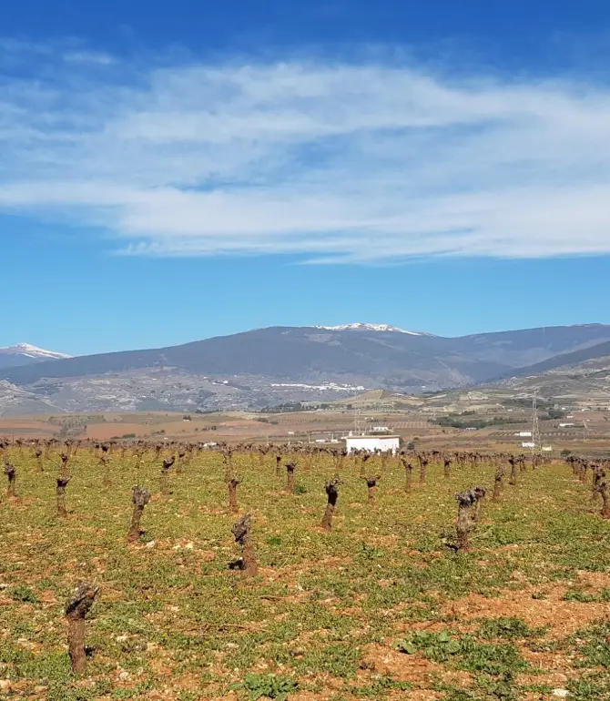 Laujar de Andarax