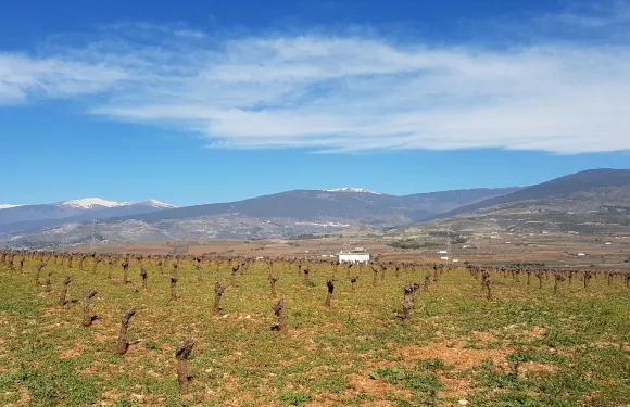 勞約德安達拉克