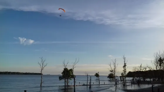 Pantai Tanjung Piai